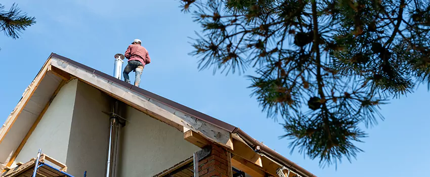 Birds Removal Contractors from Chimney in Inglewood-Finn Hill, WA