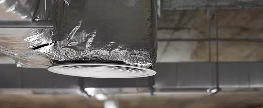 Signs of Dust Accumulation in Vents in Inglewood-Finn Hill, WA